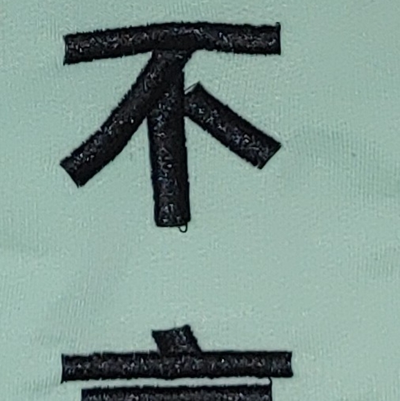 Blind Rooster Pullover Hoodie Sweatshirt Elevate "Never Give Up" Mint Green L - Picture 7 of 10